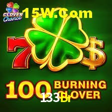 Bonus Features 133Br